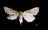  ( - MAL-01089)  @12 [ ] Unspecified (default): All Rights Reserved  Unspecified Unspecified