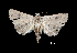  ( - MAL-01100)  @12 [ ] Unspecified (default): All Rights Reserved  Unspecified Unspecified