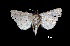  ( - MAL-01100)  @12 [ ] Unspecified (default): All Rights Reserved  Unspecified Unspecified