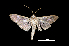  ( - MAL-01101)  @13 [ ] Unspecified (default): All Rights Reserved  Unspecified Unspecified