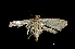  ( - MAL-01107)  @13 [ ] Unspecified (default): All Rights Reserved  Unspecified Unspecified