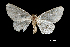  ( - MAL-01109)  @13 [ ] Unspecified (default): All Rights Reserved  Unspecified Unspecified