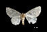  ( - MAL-01109)  @13 [ ] Unspecified (default): All Rights Reserved  Unspecified Unspecified