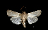  ( - MAL-01112)  @13 [ ] Unspecified (default): All Rights Reserved  Unspecified Unspecified