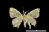  ( - MAL-01128)  @13 [ ] Unspecified (default): All Rights Reserved  Unspecified Unspecified