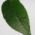  ( - MLL-01106)  @12 [ ] Unspecified (default): All Rights Reserved  Unspecified Unspecified
