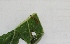  ( - MLL-01173)  @11 [ ] Unspecified (default): All Rights Reserved  Unspecified Unspecified