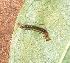  ( - MLL-02004)  @12 [ ] Unspecified (default): All Rights Reserved  Unspecified Unspecified