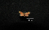  ( - MAL-01149)  @13 [ ] Unspecified (default): All Rights Reserved  Unspecified Unspecified