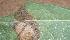  ( - MLL-00731)  @11 [ ] Unspecified (default): All Rights Reserved  Unspecified Unspecified