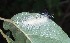  ( - MLL-00743)  @12 [ ] Unspecified (default): All Rights Reserved  Unspecified Unspecified