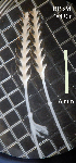  (Bankia bipalmulata - PCMB50792)  @11 [ ] by-nc-nd (2024) N. Treneman Bishop Museum