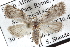  ( - BIOUG06113-E04)  @14 [ ] CreativeCommons - Attribution (2012) CBG Photography Group Centre for Biodiversity Genomics