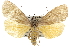  ( - BIOUG06113-G01)  @14 [ ] CreativeCommons - Attribution (2012) CBG Photography Group Centre for Biodiversity Genomics