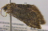  ( - BIOUG06206-A09)  @13 [ ] CreativeCommons - Attribution (2012) CBG Photography Group Centre for Biodiversity Genomics