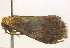  ( - BIOUG06206-G04)  @12 [ ] CreativeCommons - Attribution (2012) CBG Photography Group Centre for Biodiversity Genomics