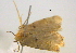  ( - BIOUG06206-H04)  @12 [ ] CreativeCommons - Attribution (2012) CBG Photography Group Centre for Biodiversity Genomics