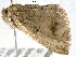  ( - BIOUG06114-C12)  @12 [ ] CreativeCommons - Attribution (2013) CBG Photography Group Centre for Biodiversity Genomics