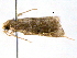  ( - BIOUG06114-D01)  @12 [ ] CreativeCommons - Attribution (2013) CBG Photography Group Centre for Biodiversity Genomics