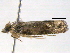  ( - BIOUG06114-D06)  @12 [ ] CreativeCommons - Attribution (2013) CBG Photography Group Centre for Biodiversity Genomics
