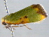  ( - BIOUG06114-D12)  @13 [ ] CreativeCommons - Attribution (2013) CBG Photography Group Centre for Biodiversity Genomics