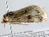  ( - BIOUG06114-E05)  @12 [ ] CreativeCommons - Attribution (2013) CBG Photography Group Centre for Biodiversity Genomics