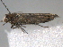  ( - BIOUG06207-C09)  @12 [ ] CreativeCommons - Attribution (2013) CBG Photography Group Centre for Biodiversity Genomics
