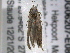  ( - BIOUG06207-E08)  @12 [ ] CreativeCommons - Attribution (2013) CBG Photography Group Centre for Biodiversity Genomics