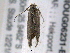  ( - BIOUG06231-B11)  @12 [ ] CreativeCommons - Attribution (2013) CBG Photography Group Centre for Biodiversity Genomics
