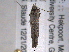  ( - BIOUG06231-D12)  @12 [ ] CreativeCommons - Attribution (2013) CBG Photography Group Centre for Biodiversity Genomics