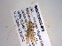  ( - BIOUG06232-B02)  @12 [ ] CreativeCommons - Attribution (2013) CBG Photography Group Centre for Biodiversity Genomics