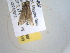  ( - BIOUG06232-B07)  @12 [ ] CreativeCommons - Attribution (2013) CBG Photography Group Centre for Biodiversity Genomics