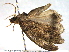  ( - BIOUG06232-F02)  @12 [ ] CreativeCommons - Attribution (2013) CBG Photography Group Centre for Biodiversity Genomics