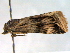  ( - BIOUG06232-G07)  @12 [ ] CreativeCommons - Attribution (2013) CBG Photography Group Centre for Biodiversity Genomics