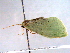  ( - BIOUG06232-H10)  @12 [ ] CreativeCommons - Attribution (2013) CBG Photography Group Centre for Biodiversity Genomics