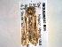  ( - BIOUG06242-B04)  @13 [ ] CreativeCommons - Attribution (2013) CBG Photography Group Centre for Biodiversity Genomics