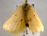  ( - BIOUG06242-C07)  @12 [ ] CreativeCommons - Attribution (2013) CBG Photography Group Centre for Biodiversity Genomics