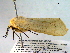  ( - BIOUG06242-C12)  @12 [ ] CreativeCommons - Attribution (2013) CBG Photography Group Centre for Biodiversity Genomics
