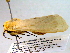  ( - BIOUG06242-D01)  @12 [ ] CreativeCommons - Attribution (2013) CBG Photography Group Centre for Biodiversity Genomics