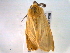  ( - BIOUG06242-D02)  @13 [ ] CreativeCommons - Attribution (2013) CBG Photography Group Centre for Biodiversity Genomics