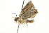  ( - BIOUG02089-B06)  @12 [ ] CreativeCommons - Attribution (2012) CBG Photography Group Centre for Biodiversity Genomics