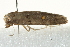  ( - BIOUG02065-A06)  @12 [ ] CreativeCommons - Attribution (2012) CBG Photography Group Centre for Biodiversity Genomics