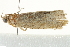  ( - BIOUG02065-F12)  @12 [ ] CreativeCommons - Attribution (2012) CBG Photography Group Centre for Biodiversity Genomics