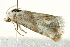  ( - BIOUG02065-H07)  @12 [ ] CreativeCommons - Attribution (2012) CBG Photography Group Centre for Biodiversity Genomics