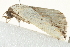  ( - BIOUG02066-B10)  @12 [ ] CreativeCommons - Attribution (2012) CBG Photography Group Centre for Biodiversity Genomics