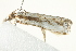  ( - BIOUG02066-C04)  @12 [ ] CreativeCommons - Attribution (2012) CBG Photography Group Centre for Biodiversity Genomics