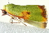  ( - BIOUG02066-D09)  @13 [ ] CreativeCommons - Attribution (2012) CBG Photography Group Centre for Biodiversity Genomics