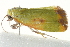  ( - BIOUG02066-F04)  @13 [ ] CreativeCommons - Attribution (2012) CBG Photography Group Centre for Biodiversity Genomics