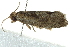  ( - BIOUG02066-G12)  @12 [ ] CreativeCommons - Attribution (2012) CBG Photography Group Centre for Biodiversity Genomics