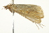  ( - BIOUG02067-B02)  @12 [ ] CreativeCommons - Attribution (2012) CBG Photography Group Centre for Biodiversity Genomics
